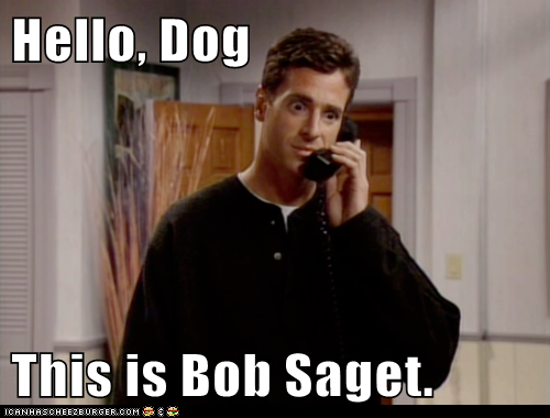 Hello, Dog  This is Bob Saget.