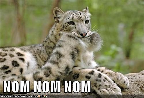 Mur Tail Iz Derplicous 