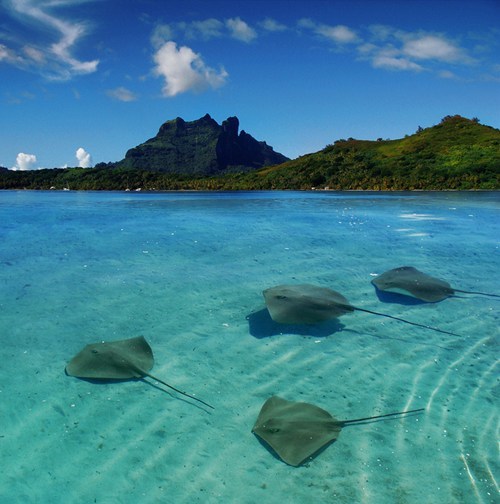 Bora Bora, French Polynesia 
