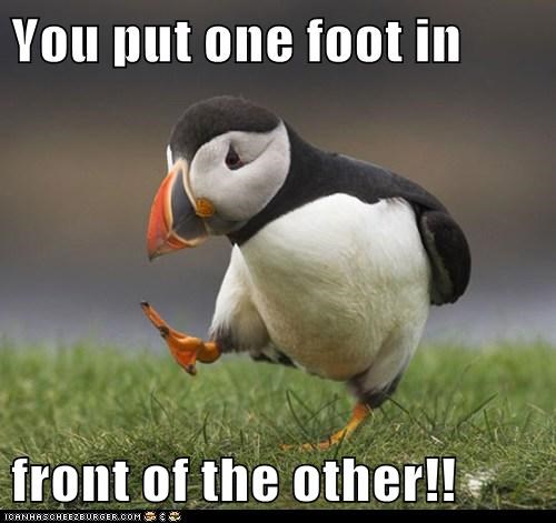 Now Follow These Directions