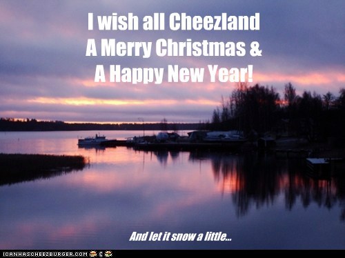 I wish all Cheezland 
A Merry Christmas &
A Happy New Year!