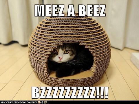 MEEZ A BEEZ