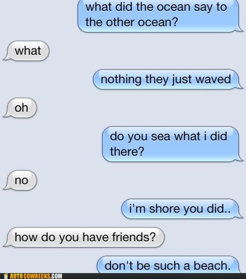Autocowrecks: I Sea What You Did There