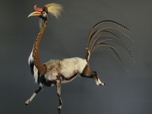 What Hath Taxidermy Wrought of the Day