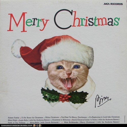 The Kitten Covers: Christmas Edition