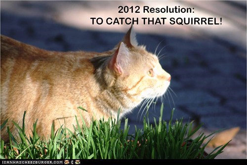 2012 Resolution: