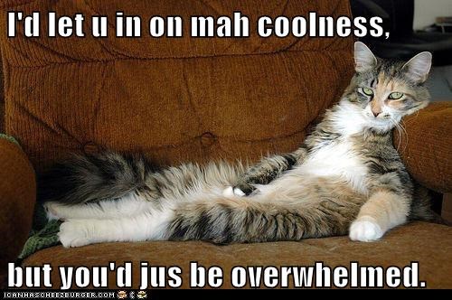 I'd let u in on mah coolness,  but you'd jus be overwhelmed.