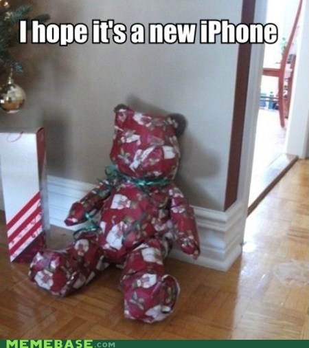 Bearly Concealed