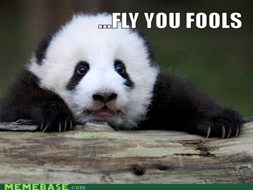 Pandalf the Adorable