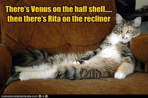 There's Venus on the half shell.....