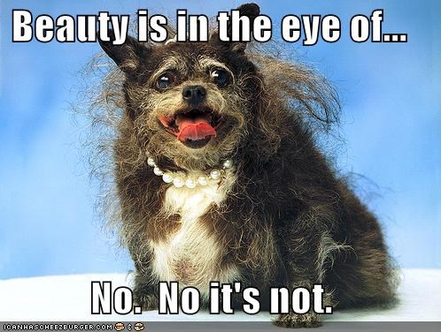 Beauty is in the eye of...  No.  No it's not.