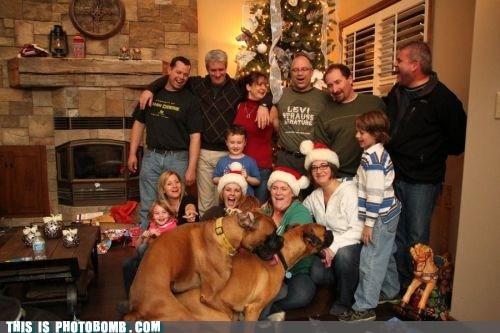 Rowdy Christmas