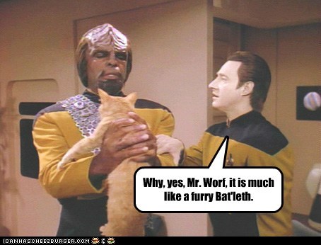 Yes, Mr. Worf