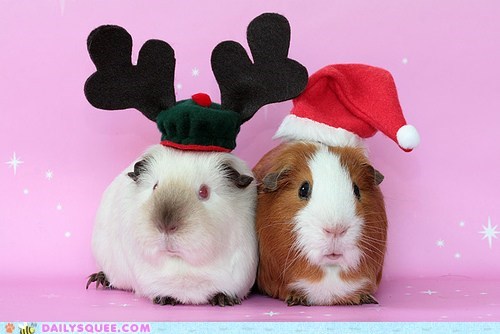 Have Yourself a Peegy Little Christmas