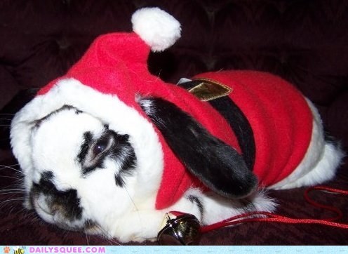Santa Bun is Coming to Town