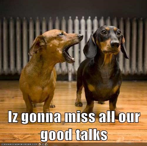Iz gonna