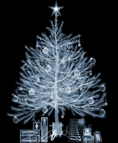 Christmas X-Ray of the Day