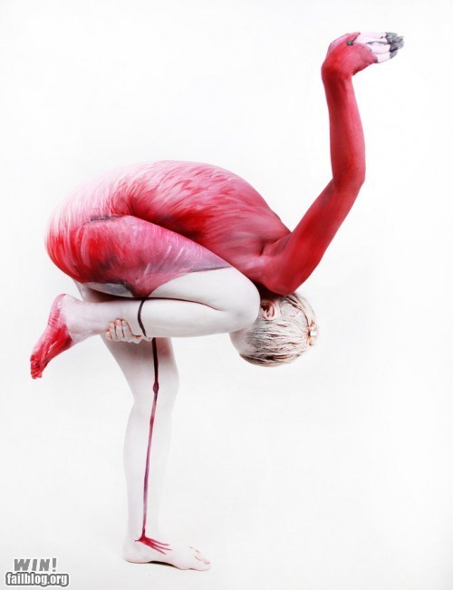 Human Flamingo WIN