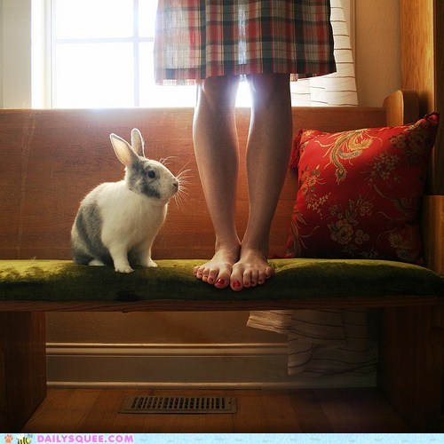 I Wish I Was Taller...