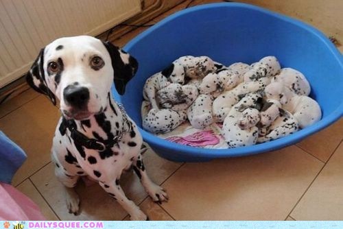 The Proudest Parent