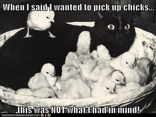 When I said I wanted to pick up chicks...   this was NOT what I had in mind!