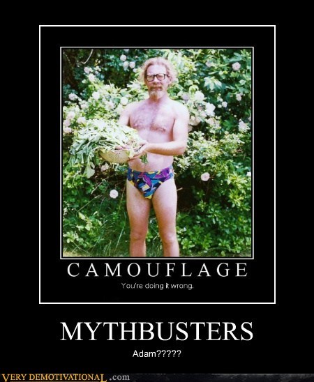 MYTHBUSTERS