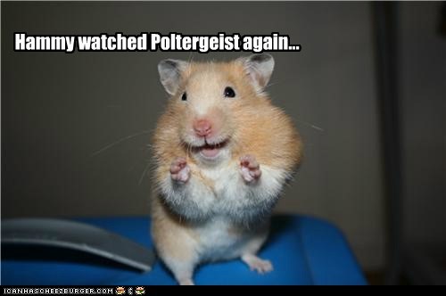 Hammy watched Poltergeist again...