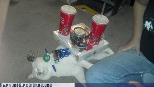 Crunk Critters: Don't Be First To Cat-Nap At The Party
