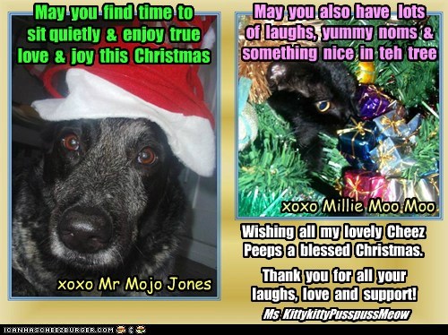 Merry Christmas Everyone from Ms KkPpM