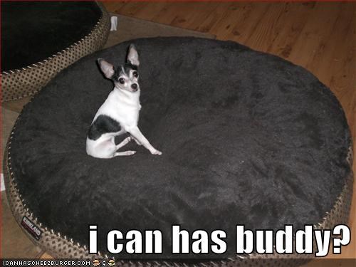 i can