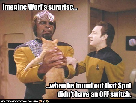 Imagine Worf's Surprise