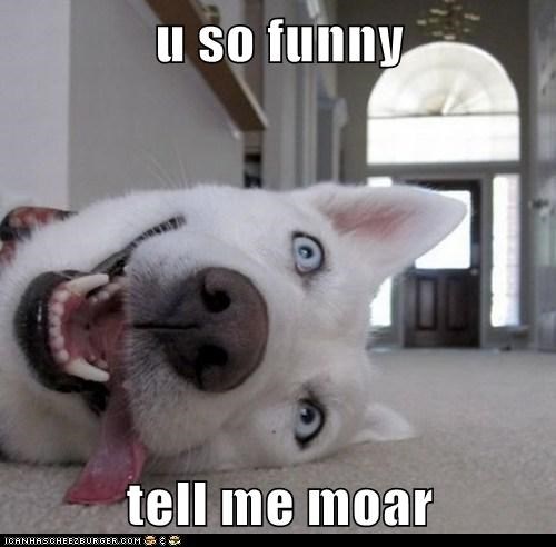 u so funny  tell me moar