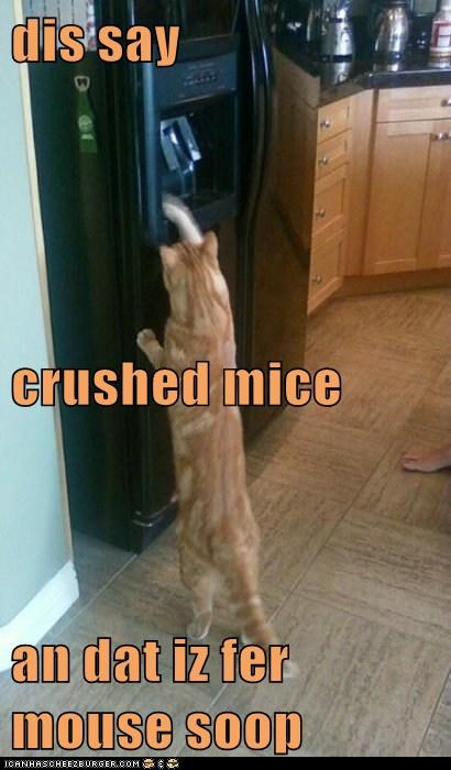 dis say crushed mice an dat iz fer mouse soop