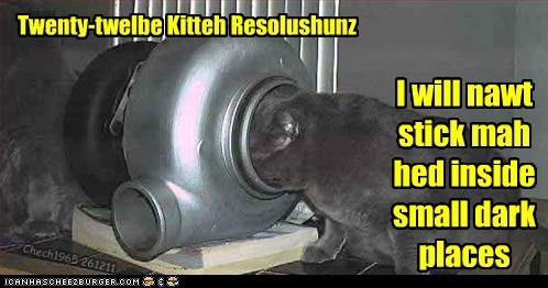 Twenty-twelbe Kitteh Resolushunz