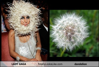 Lady Gaga Totally Looks Like Dandelion