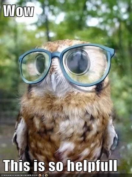 This Little Owl Had Astigmatism