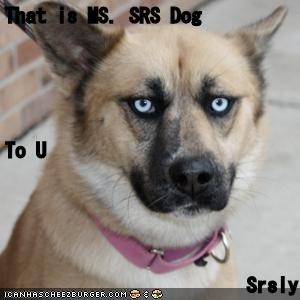 That is MS. SRS Dog To U                       Srsly