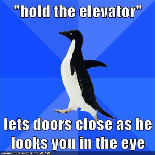 Socially Awkward Penguin: Eye Contact Is Weird