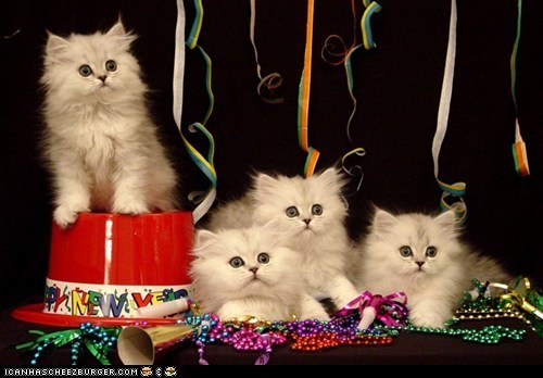 Cyoot Kittehs of teh Day: Happeh Noo Yeerz!