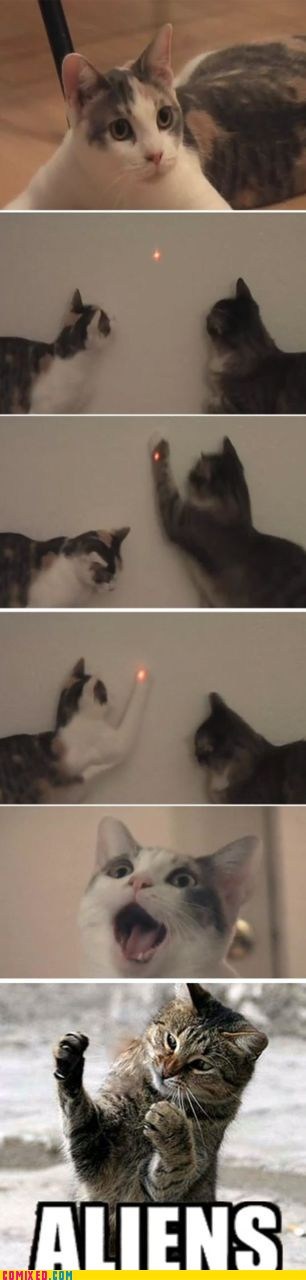 They're Firing Their Lasers