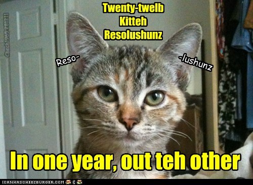 Twenty-twelb Kitteh Resolushunz