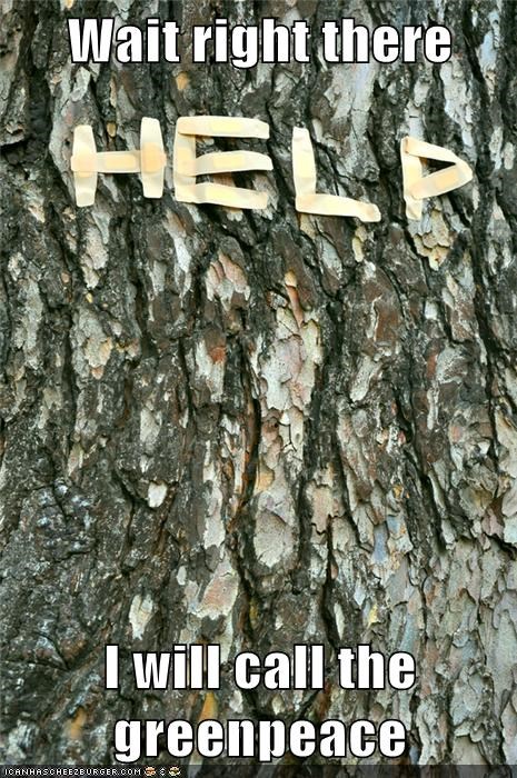 Don't Move. Help Is On the Way