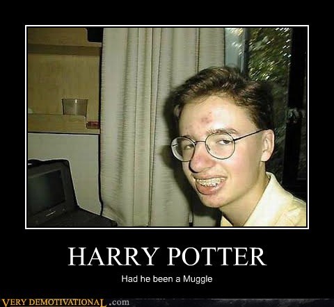 HARRY POTTER