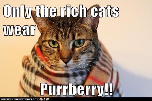 Only the rich