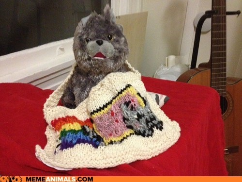 Nyan Cat Cozy
