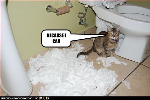 BECAUSE