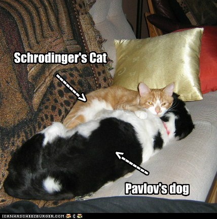 Schrodinger's Cat