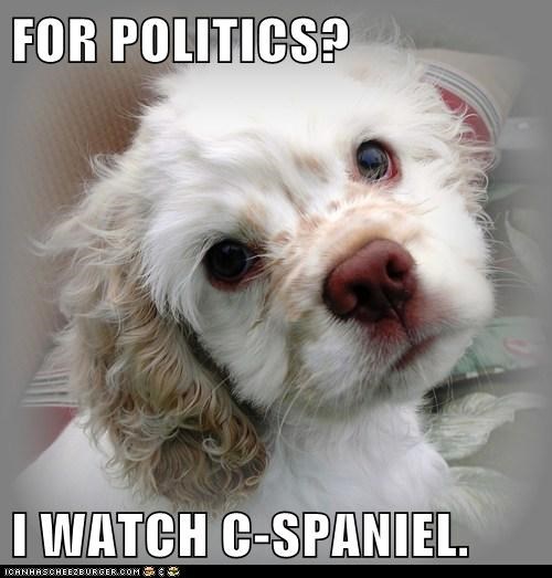FOR POLITICS?