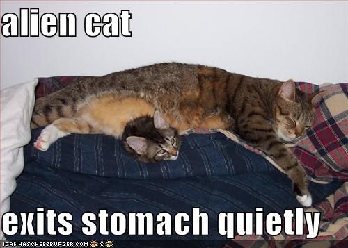 alien cat  exits stomach quietly