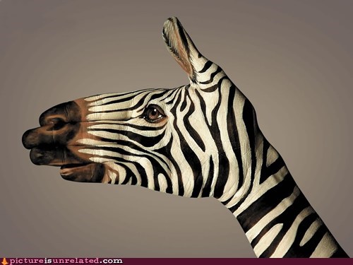 Handy Zebra